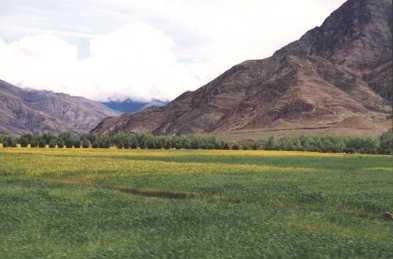 shigatse_3.jpg