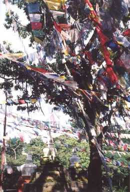 swayambunath_flags.jpg