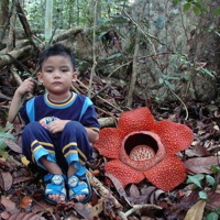 Big Flowers