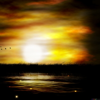 Dimensions Of Light