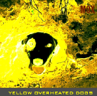 yellow overheated dogs
