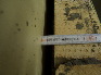 DCP_0009.JPG